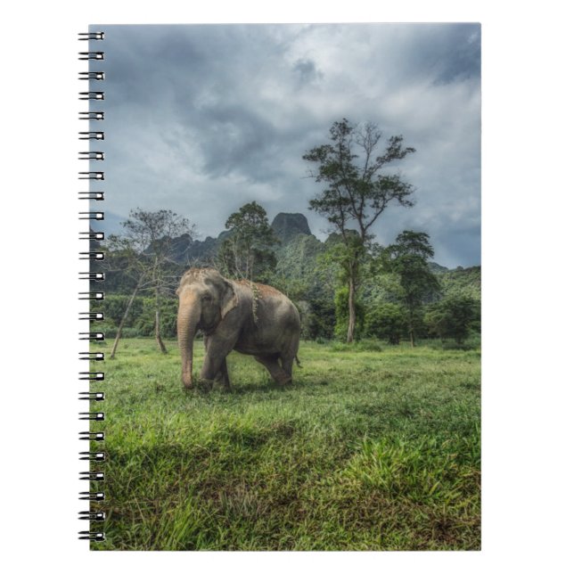 Cuaderno Bosques | Parque nacional Kao Sok (Frente)