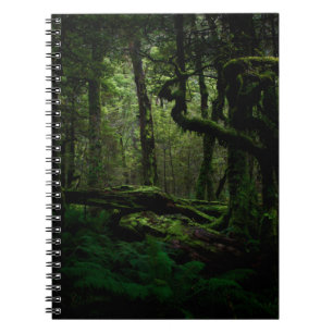 Cuaderno Bosques   Routeburn Track Fiordland Parque naciona