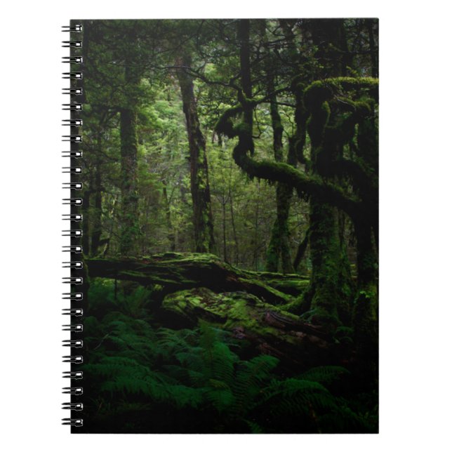 Cuaderno Bosques | Routeburn Track Fiordland Parque naciona (Frente)