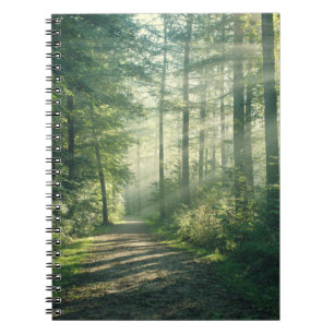 Cuaderno Bosques   Ruta Forestal Hamburgo Alemania