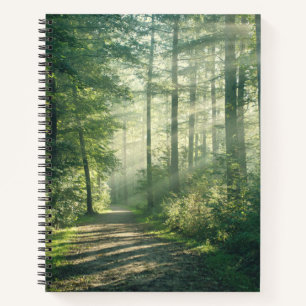 Cuaderno Bosques   Ruta Forestal Hamburgo Alemania