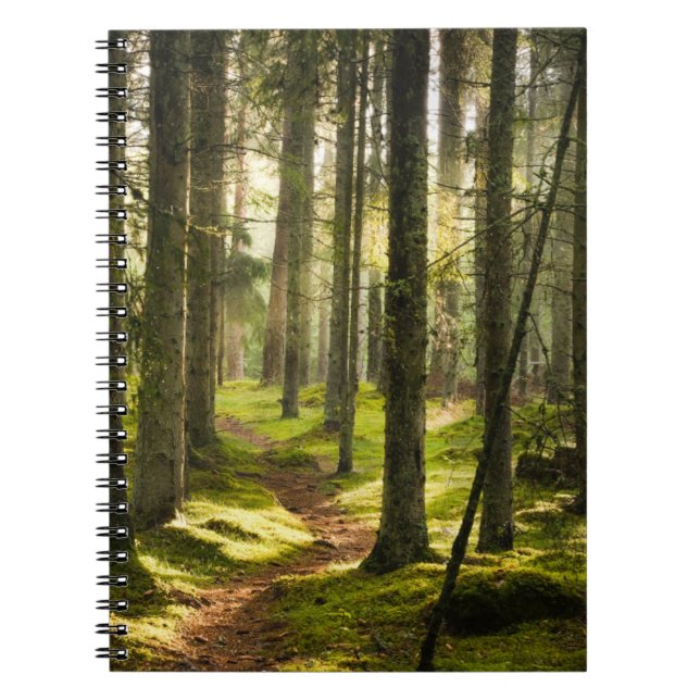 Cuaderno Bosques | Selva boreal Suecia (Frente)