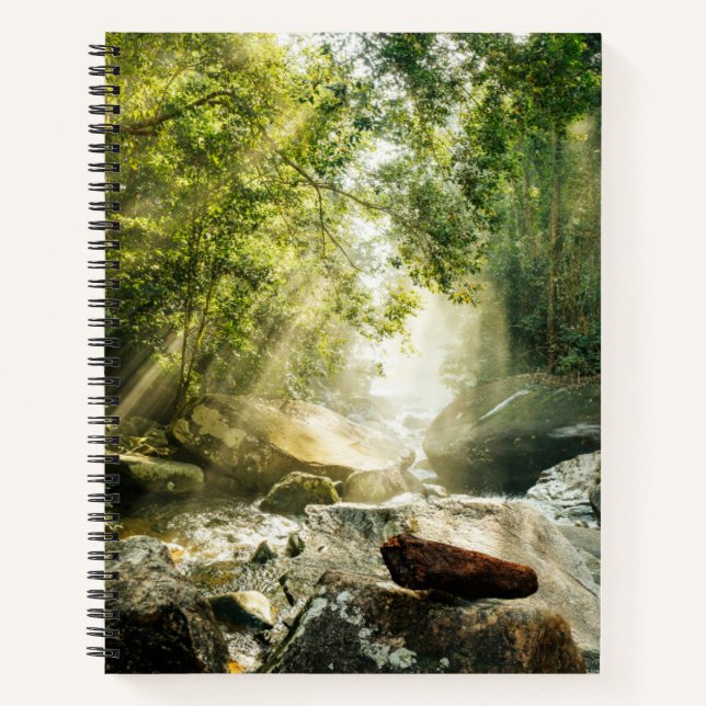 Cuaderno Bosques | Selva tropical de selva (Anverso)