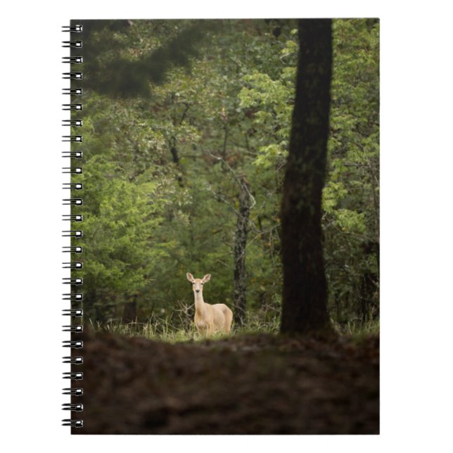 Cuaderno Bosques | Un ciervo blanco en el bosque (Frente)