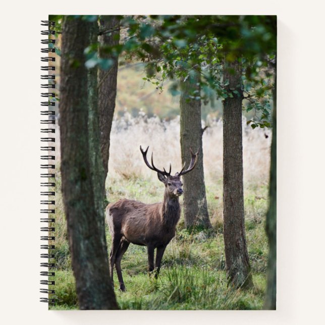 Cuaderno Bosques | Woodlands & Red Deer (Anverso)