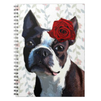 Boston Terrier con Rosa en la cabeza 2