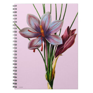 Cuaderno Botánica: Azafrán