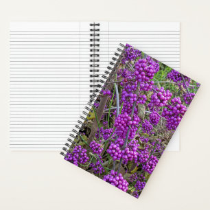 Cuaderno Botánica de Beautyberry Americana Púrpura