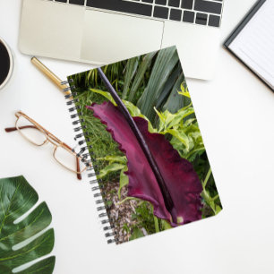 Cuaderno Botánica Lirio Bloom Morple Dragon
