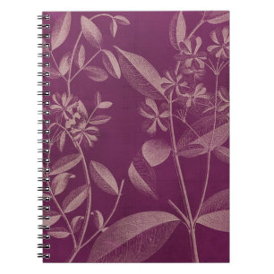 Cuaderno Botánica moderna III