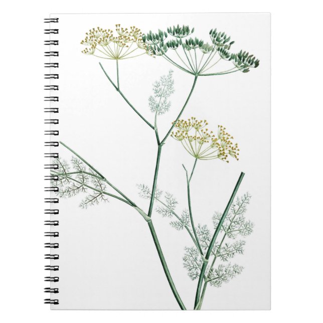Cuaderno Botánica verde suave IV (Frente)