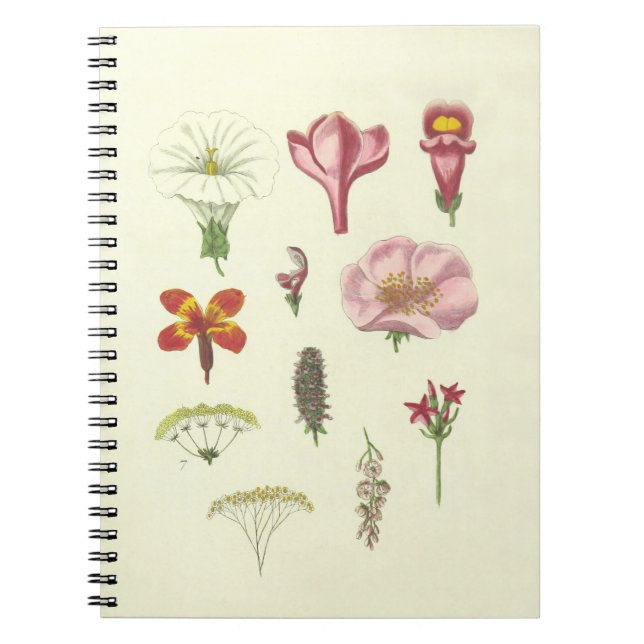Cuaderno Botánico (Frente)