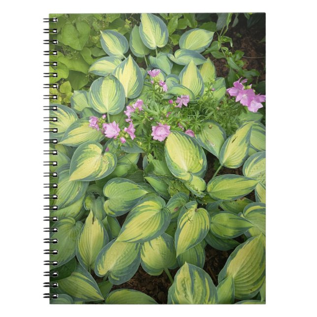 Cuaderno Botánico de Flor de la Pasión Verde | Tro (Frente)