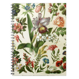 Cuaderno Botánicos de flores
