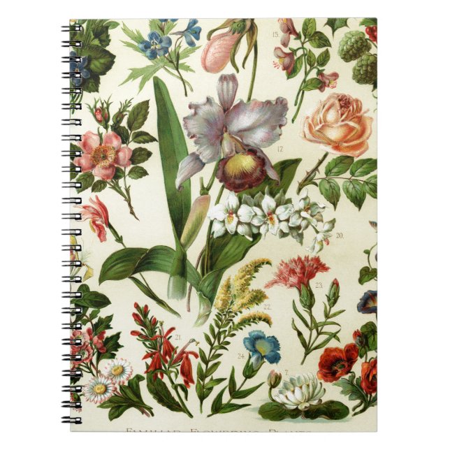 Cuaderno Botánicos de flores (Frente)