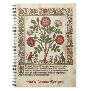 Cuaderno Botica Iluminada Rosa Medieval