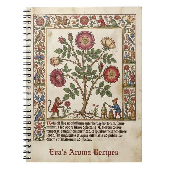 Cuaderno Botica Iluminada Rosa Medieval (Frente)