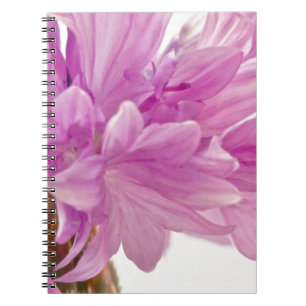 Cuaderno botón Batchelor