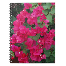 Cuaderno Bougainvillea