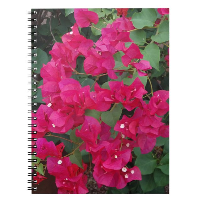 Cuaderno Bougainvillea (Frente)