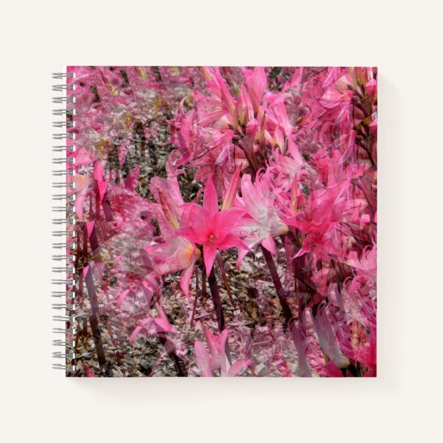 Cuaderno Bouquet de Amaryllis..... (Anverso)
