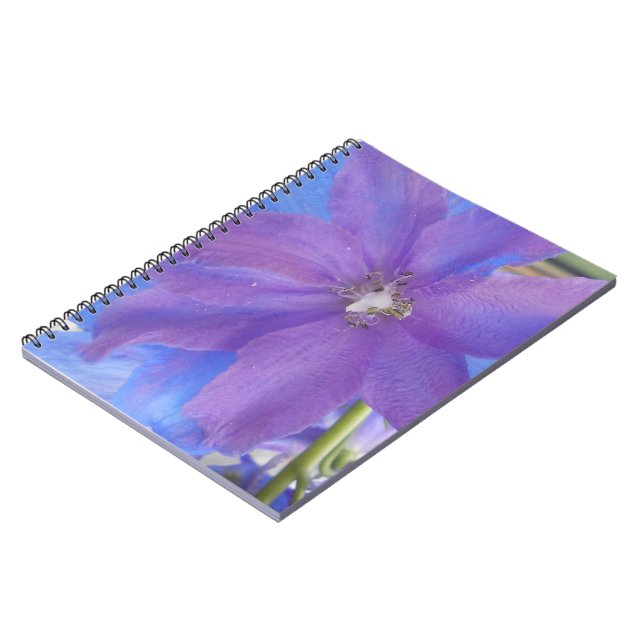 Cuaderno Bowen (Lado Izquierdo)