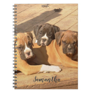 Cuaderno Boxer puppies spiral notebook