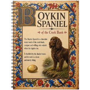 Cuaderno Boykin Spaniel, Arte de Bestiario Medieval