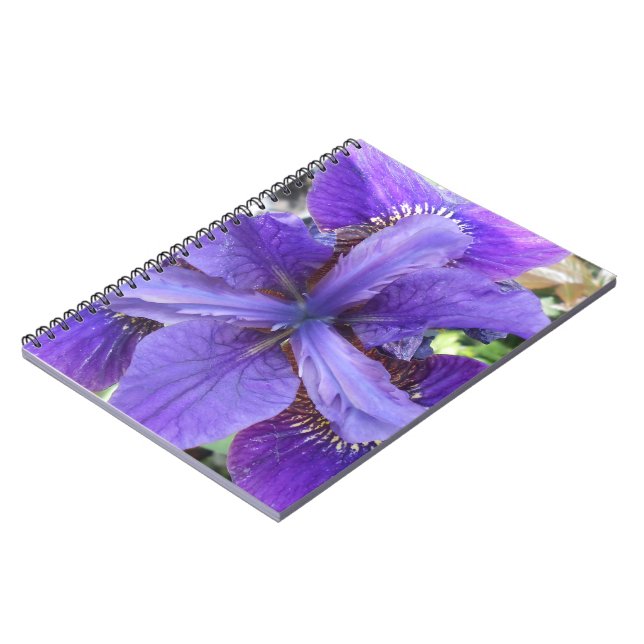 Cuaderno Brandeis (Lado Izquierdo)