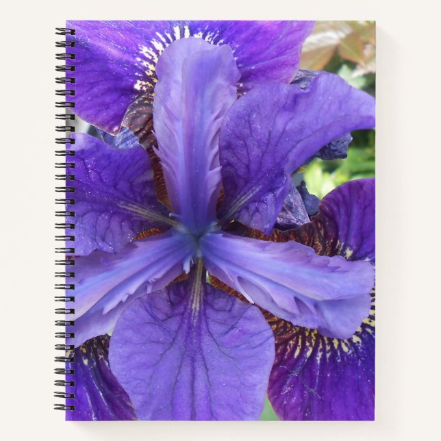 Cuaderno Brandeis (Anverso)