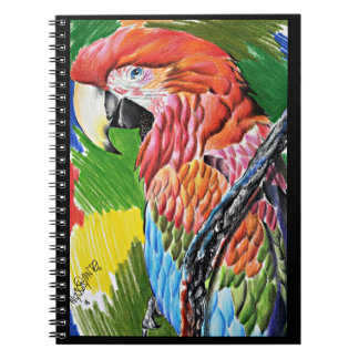 Cuaderno Brazilian Scarlat Macaw - Hand Drawn Wildlife Art