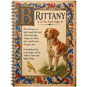 Cuaderno Bretaña, Arte de Bestiario Medieval