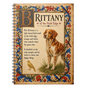 Cuaderno Bretaña, Arte de Bestiario Medieval