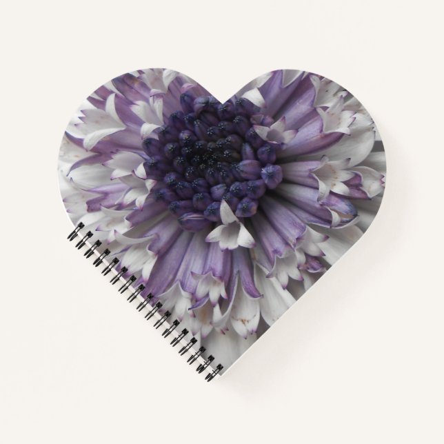 Cuaderno Brett (Anverso)