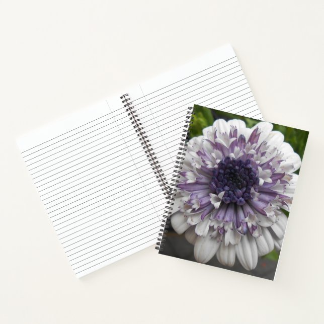 Cuaderno Brett (Interior)