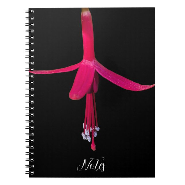 Cuaderno Bright Pink Fuchsia Flower on Black (Frente)
