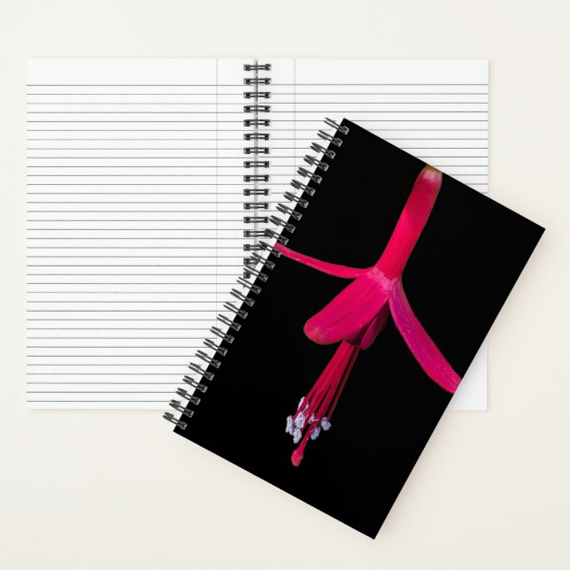 Cuaderno Bright Pink Fuchsia Flower on Black (Interior)