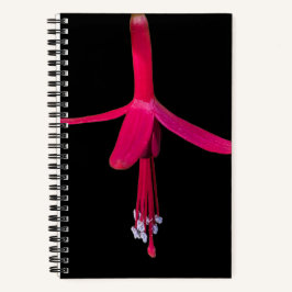 Cuaderno Bright Pink Fuchsia Flower on Black