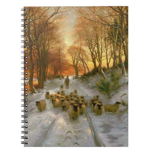 Cuaderno Brillado intensamente con los tintes de igualar (Frente)