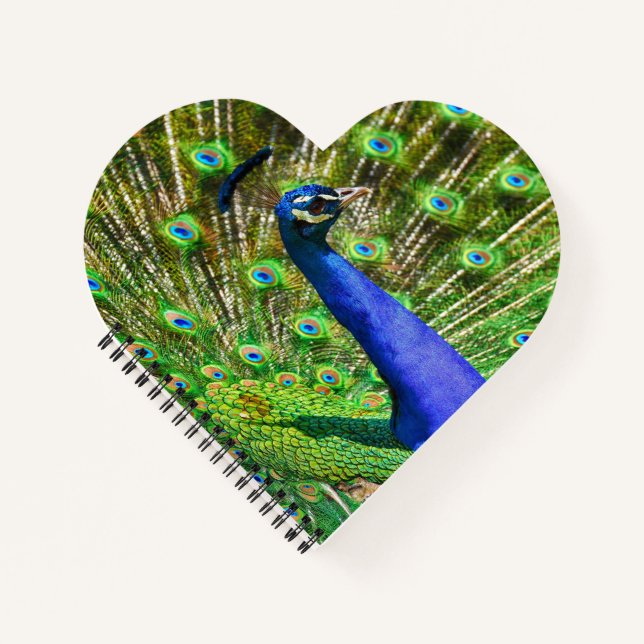 Cuaderno Brillante Blue Peacock (Anverso)
