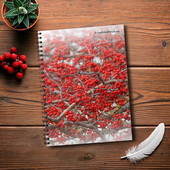 Cuaderno Brillante Red Winterberries Holly Tree Berries (Bright Red Winterberries Journal Cover Photo)