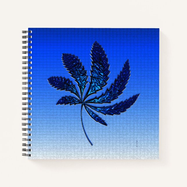 Cuaderno Brillante Y Azul..... (Anverso)