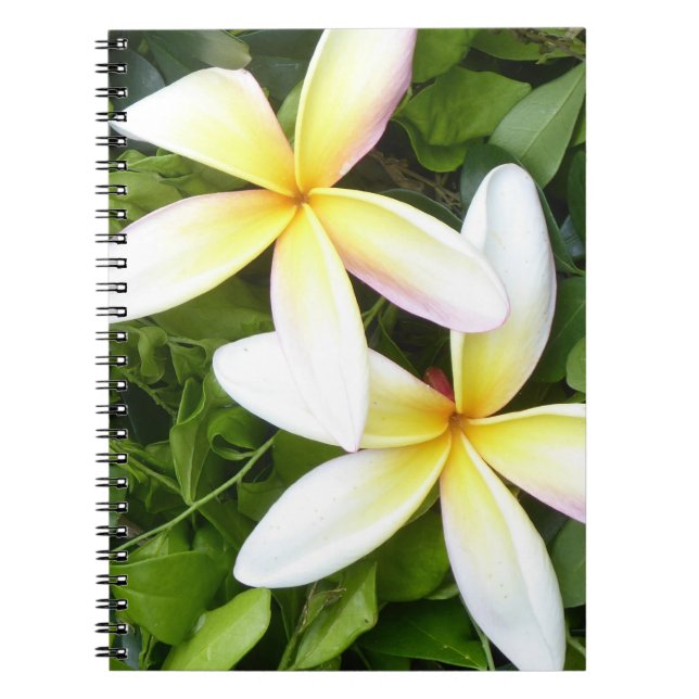 Cuaderno Brillantes flores hawaianas foto portátil espiral (Frente)