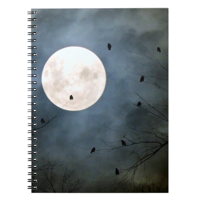 Cuaderno Brillo de luna llena (Frente)