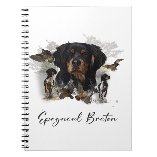 Cuaderno Brittany Francesa, Arte (Frente)