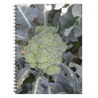 Cuaderno Broccoli Notebook