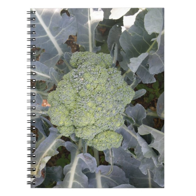 Cuaderno Broccoli Notebook (Frente)