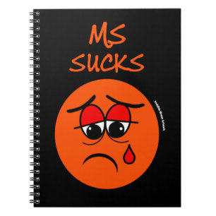 CUADERNO BROMAS...MS