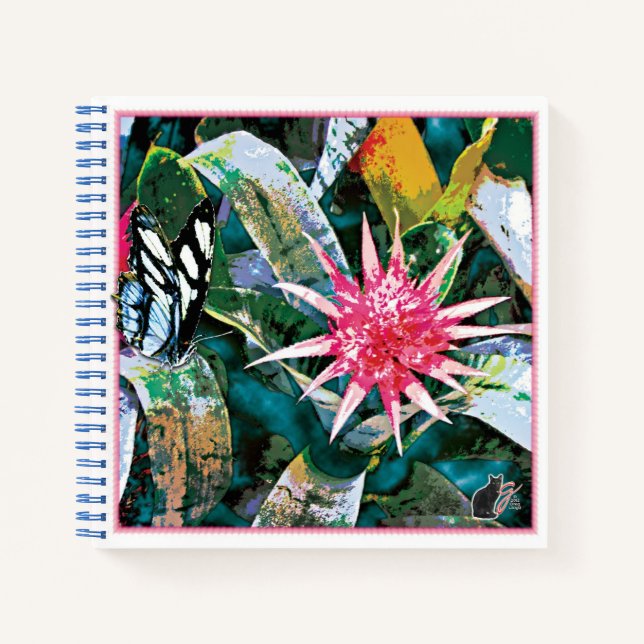 Cuaderno Bromie Espinosa  (Anverso)