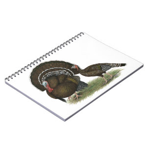 Cuaderno Bronce estándar de Turquía